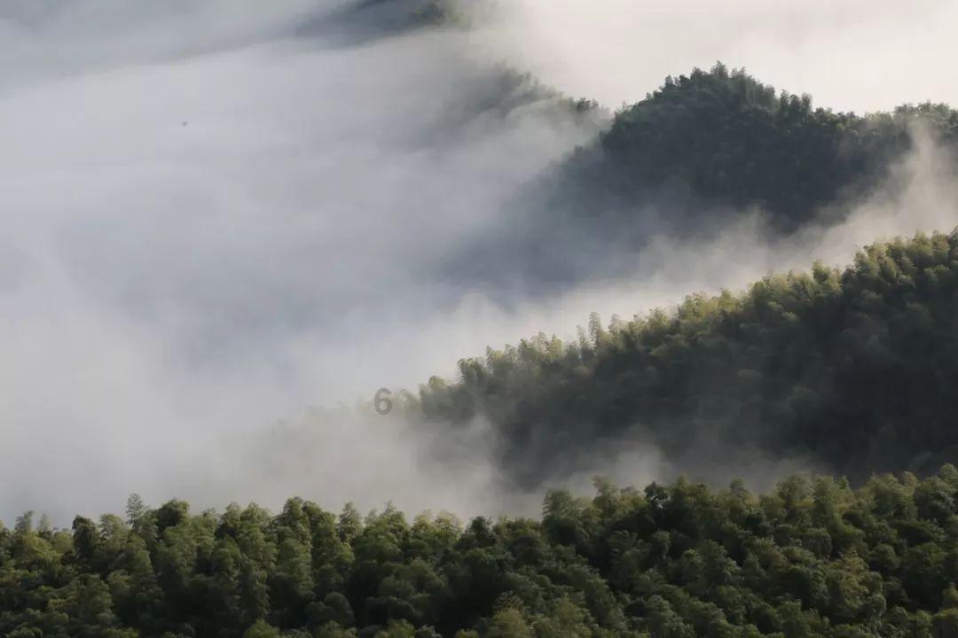 坦克世界闪击战